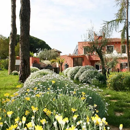 Domus Rosae *