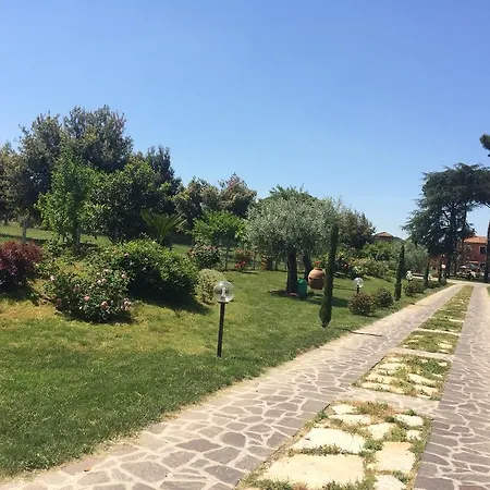 Domus Rosae Bed and Breakfast *