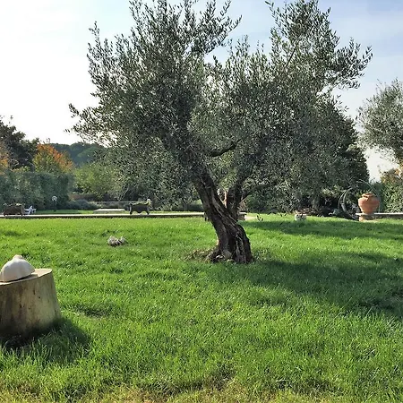 Bed and Breakfast Domus Rosae Frascati